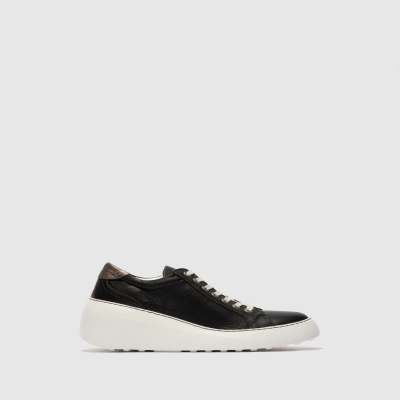 Black Fly London Lace-up Men's Trainers | USA34SWKQ