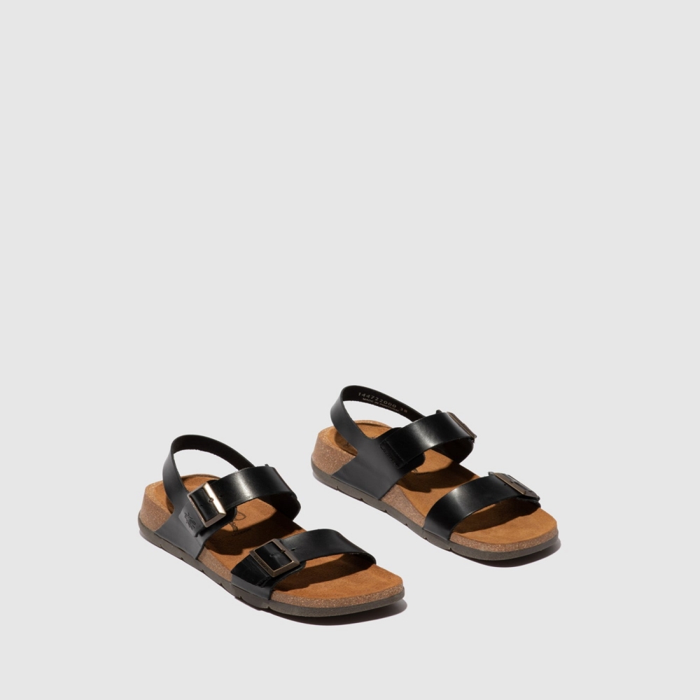 Black Fly London Buckle Women's Sandals | USA73YCKB