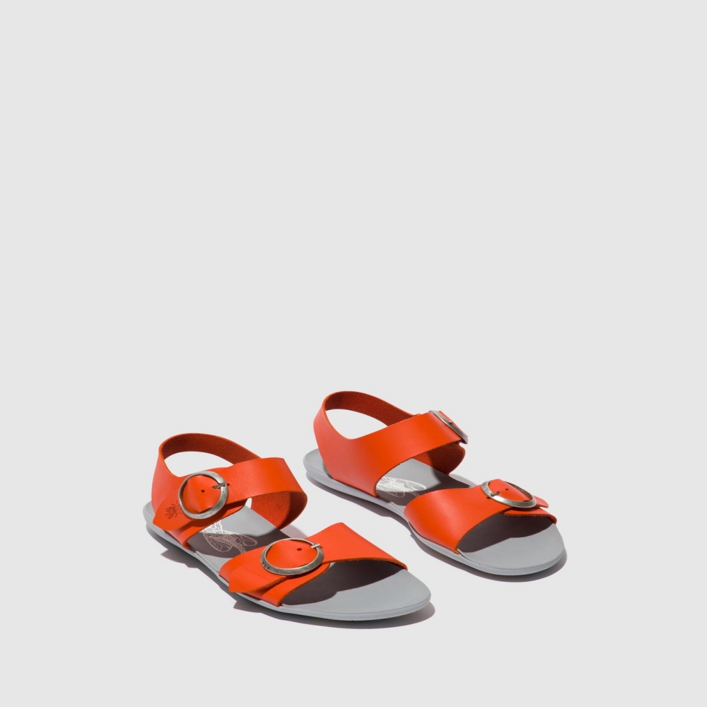 Coral Fly London Buckle Women's Sandals | USA08ZHEV