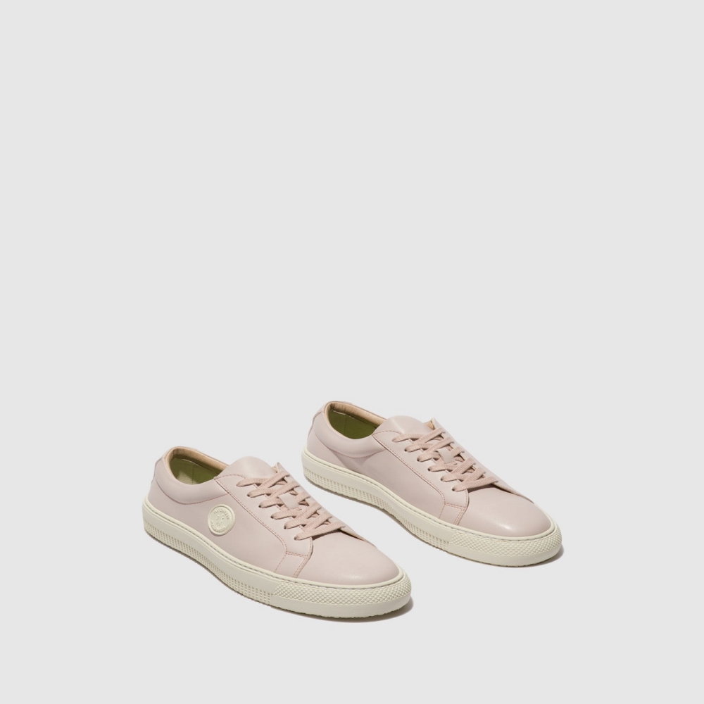 Pink Fly London Lace-up Men's Trainers | USA71CFSH