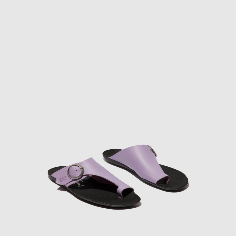 Purple Fly London Open Toe Women's Mules | USA23CHAW