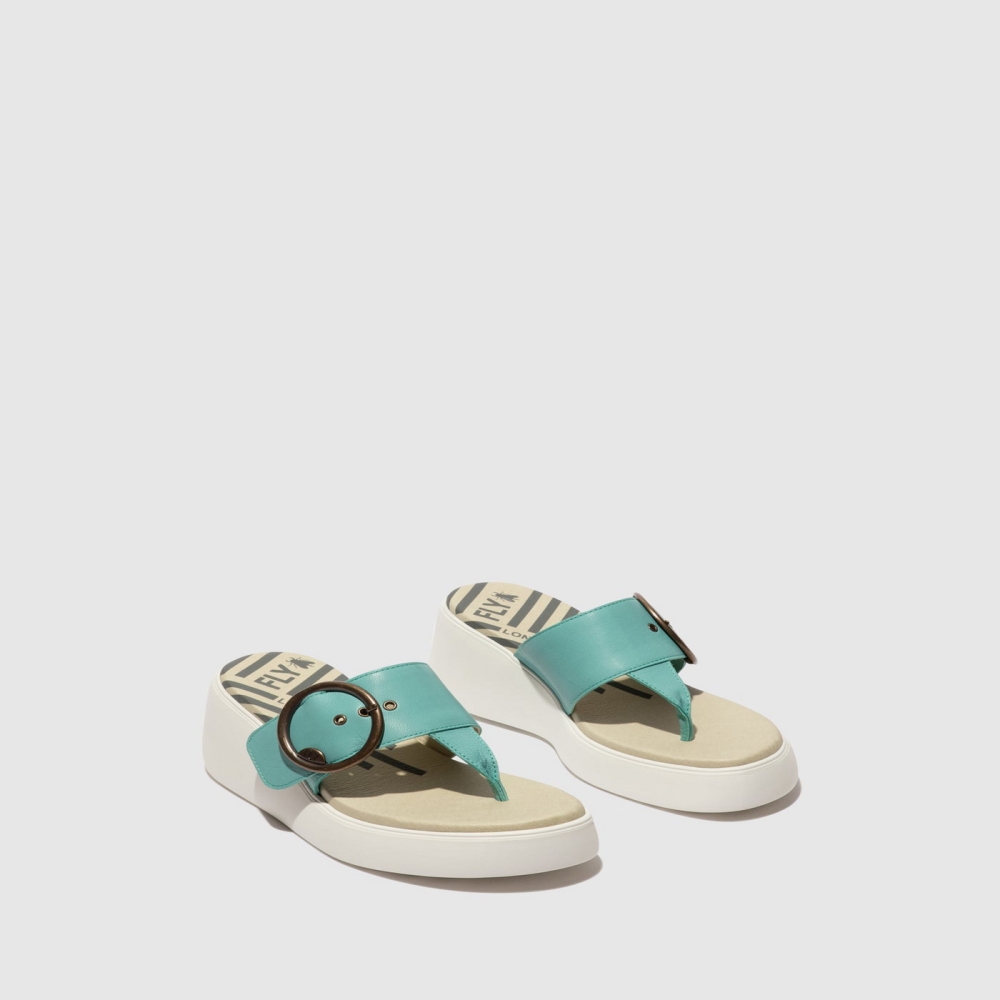 Turquoise Fly London Buckle Women's Mules | USA31CQPV