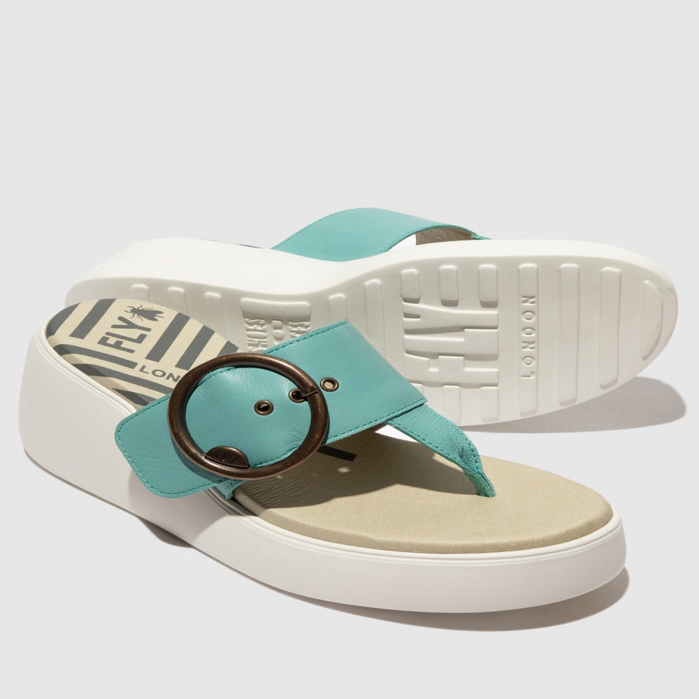 Turquoise Fly London Buckle Women's Mules | USA31CQPV